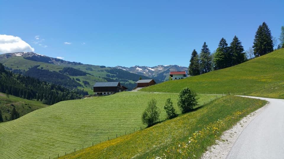 Haus Am Sonnberg Villa Maria Alm am Steinernen Meer Eksteriør bilde